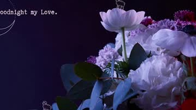 xobondaixo