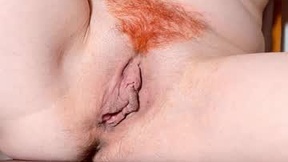 Recent Screenshot of  xollan