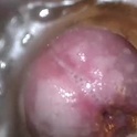 xoxowtf's Profile Picture
