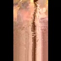 xxjessiebugxx's Profile Picture
