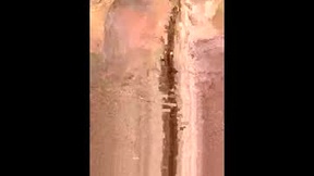 Recent Screenshot of  xxjessiebugxx