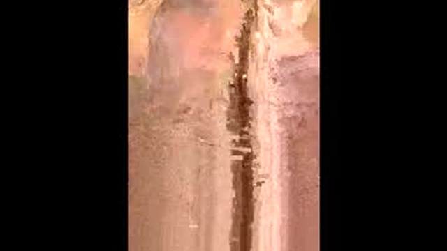 xxjessiebugxx