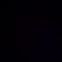 yanfranko420's Profile Picture