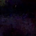 yorel64's Profile Picture