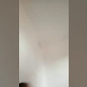 yotupatoel's Profile Picture