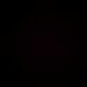 yumnumnum's Profile Picture