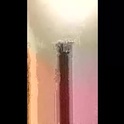 zacisonagain's Profile Picture