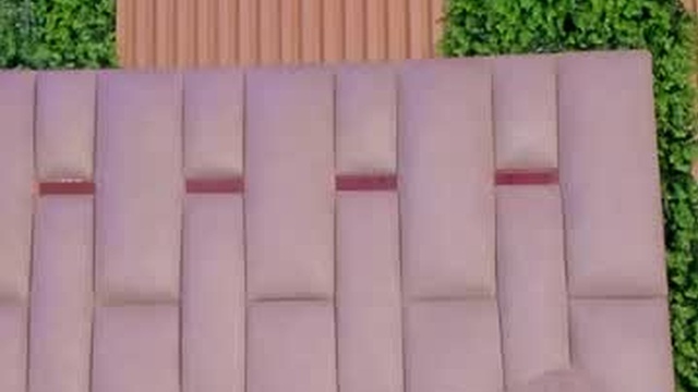 zasha_nm
