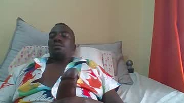 zlatann2012