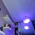 zoe__0's Profile Picture