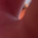 zoeycox's Profile Picture