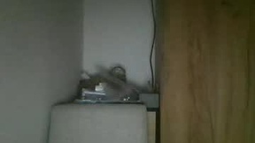 Recent Screenshot of  zvrhlikodvedle